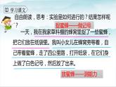 人教部编版三年级语文下册14《蜜蜂》第二课时PPT课件+教学设计+音视频素材