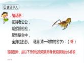 人教部编版三年级语文下册15《小虾》PPT课件+教学设计+音视频素材