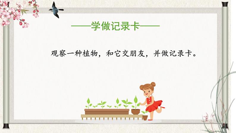 部编版语文三年级下册 第一单元 《习作：我的植物朋友》课件第7页