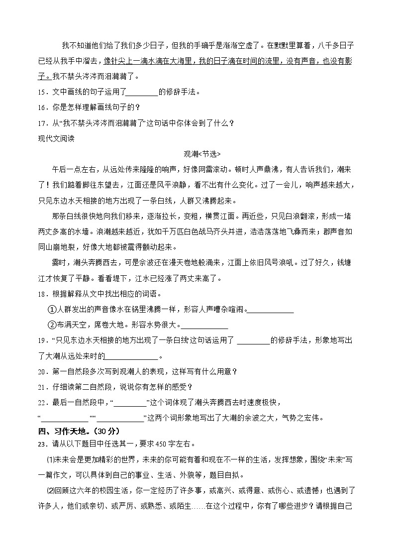 部编版语文六年级下册小升初一轮复习试题（九）（陕西专用）第3页
