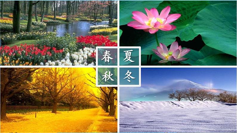 部编版（五四制）语文一下 识字1.《春夏秋冬》 课件+教案+练习07