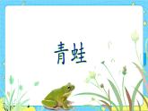 部编版（五四制）语文一下 识字3.《小青蛙》 课件+教案+练习