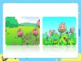 部编版（五四制）语文一下 19. 《棉花姑娘》课件+教案+练习