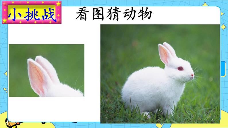 部编版（五四制）语文二下 19  大象的耳朵 课件+教案+练习02