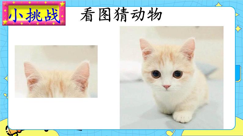 部编版（五四制）语文二下 19  大象的耳朵 课件+教案+练习03