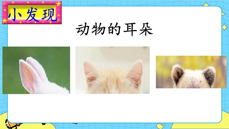 部编版（五四制）语文二下 19  大象的耳朵 课件+教案+练习05