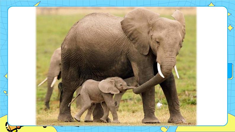 部编版（五四制）语文二下 19  大象的耳朵 课件+教案+练习06