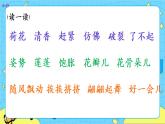 部编版（五四制）三下 3 荷花 课件+教案+练习
