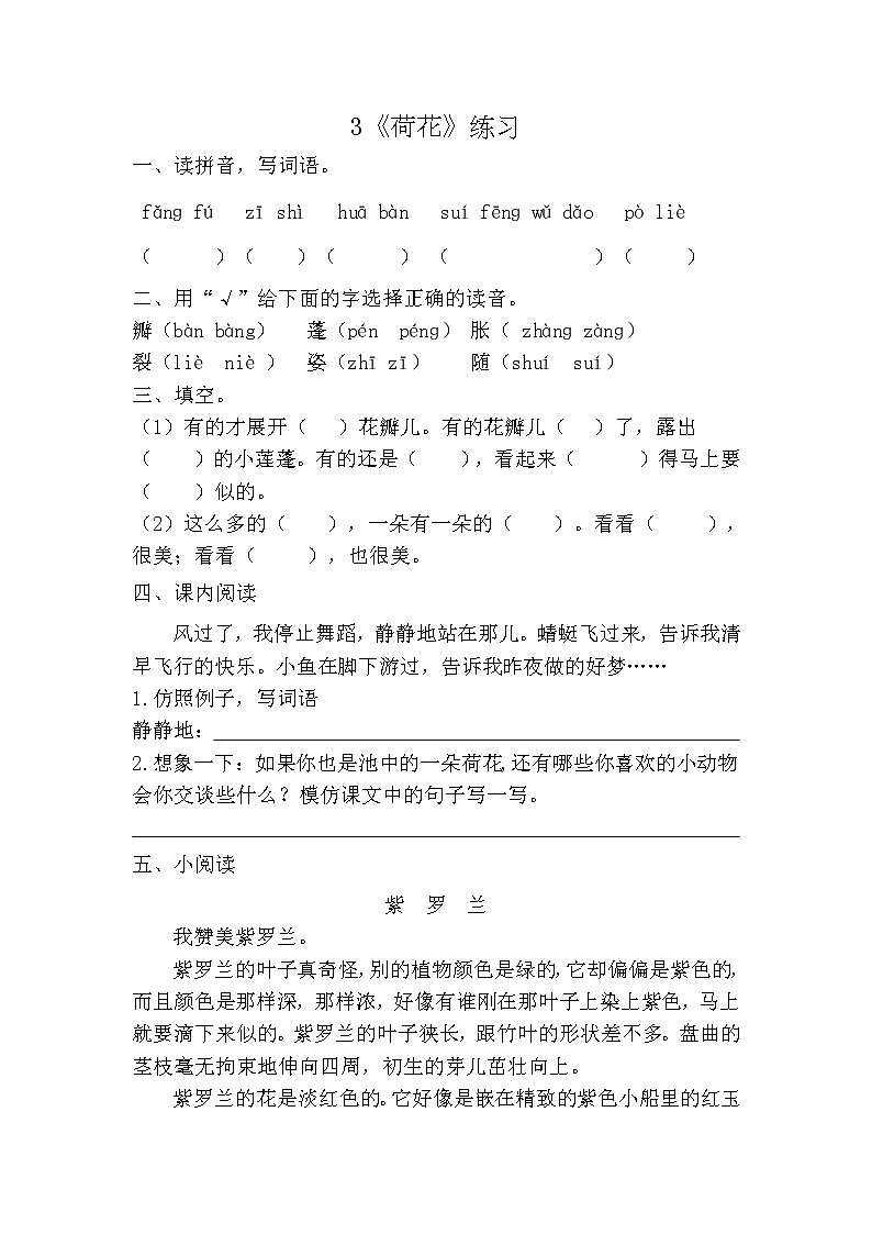 部编版（五四制）三下 3 荷花 课件+教案+练习01