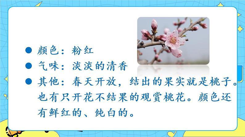 部编版（五四制）三下 习作 我的植物朋友 课件+教案07