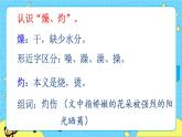 部编版（五四制）三下 13 花钟 课件+教案+练习