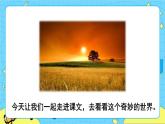 部编版（五四制）三下 22《我们奇妙的世界》课件+教案+练习