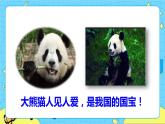 部编版（五四制）三下 第七单元习作：国宝大熊猫 课件+教案