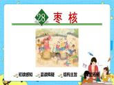 部编版（五四制）三下 28 枣核 课件+教案+练习