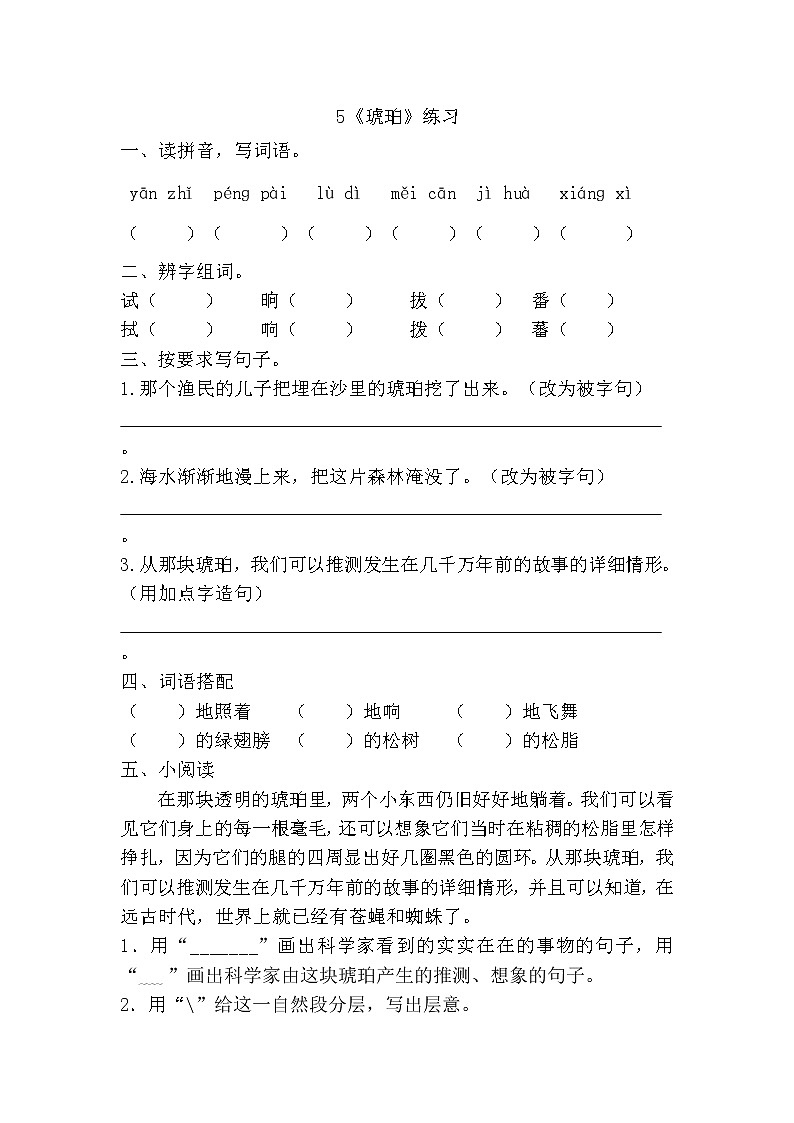 部编版（五四制）四下 5.琥珀 课件+教案+练习01
