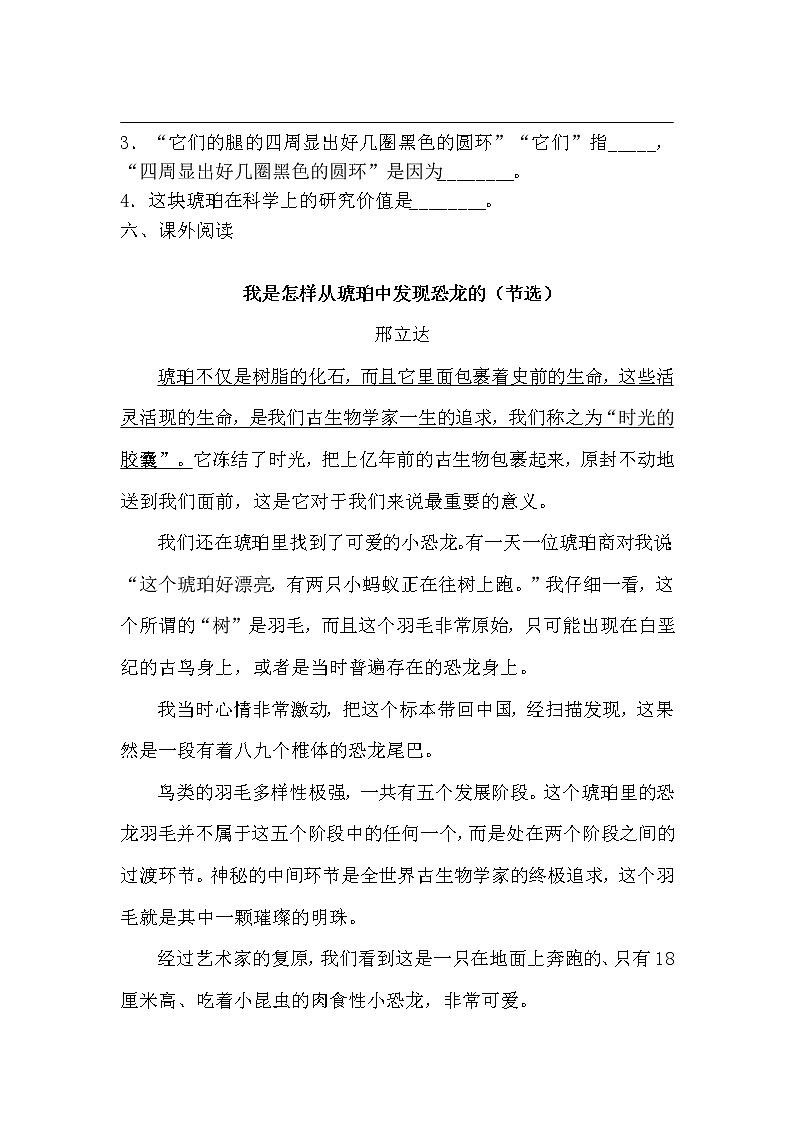 部编版（五四制）四下 5.琥珀 课件+教案+练习02