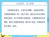 部編版（五四制）四下 11.白樺 課件+教案+練習