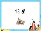 部编版（五四制）四下 13.猫 课件+教案+练习