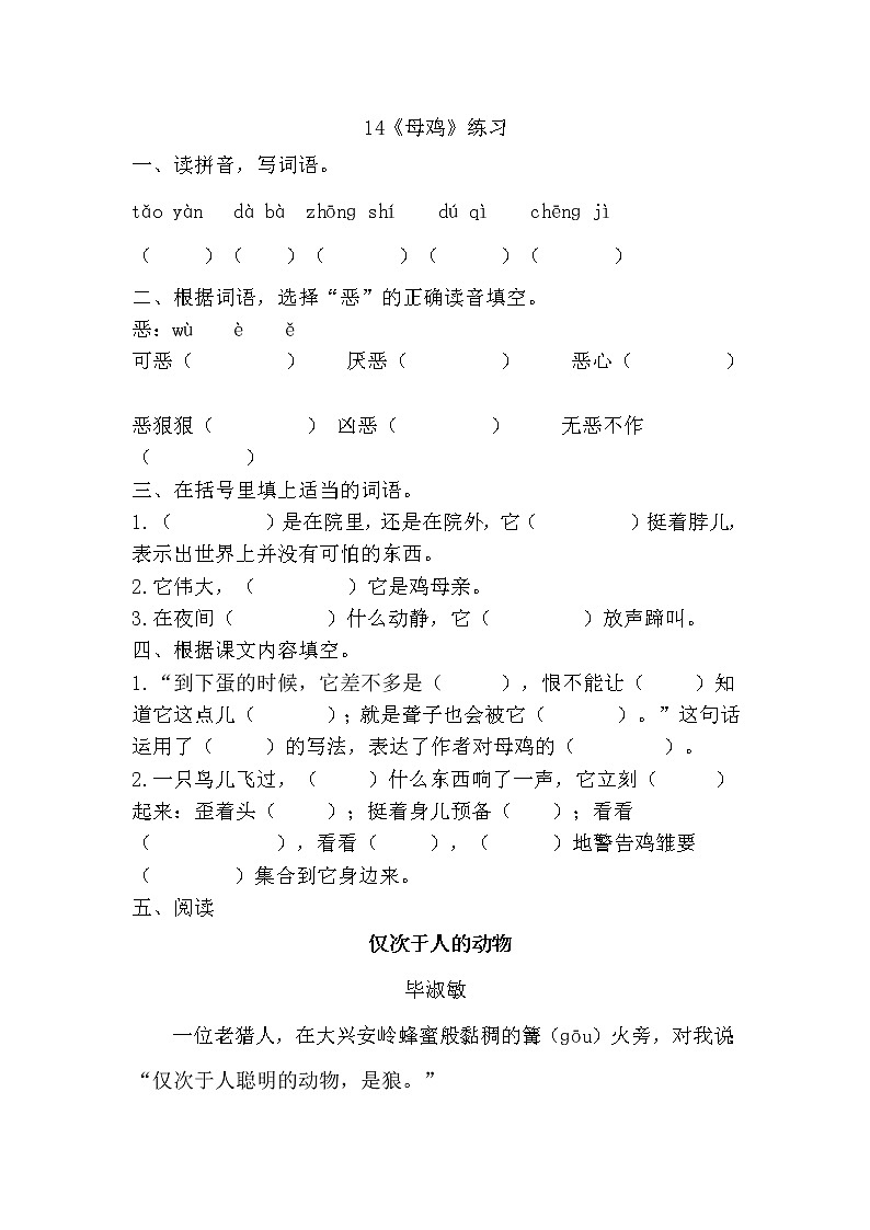 部编版（五四制）四下 14《母鸡》练习第1页