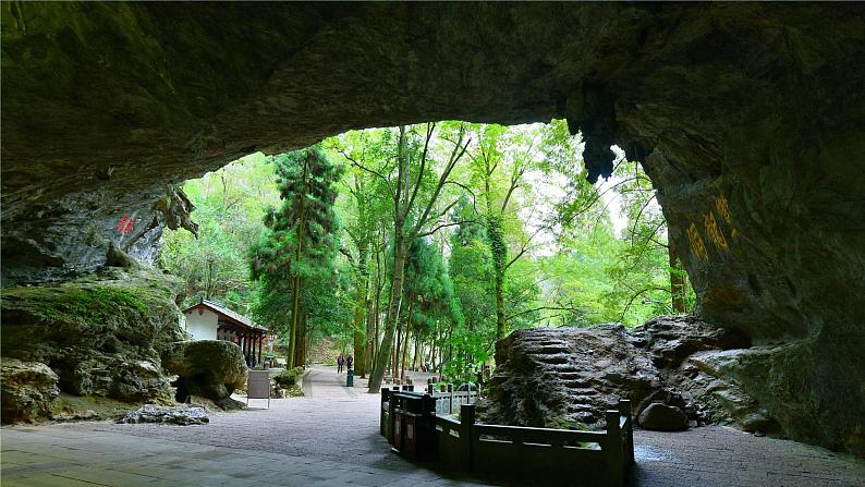 部编版（五四制）四下 17.记金华的双龙洞 课件+教案+练习03