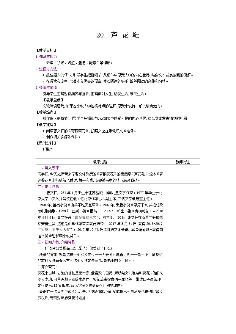 部编版（五四制）四下 20.芦花鞋 课件+教案+练习PPT01