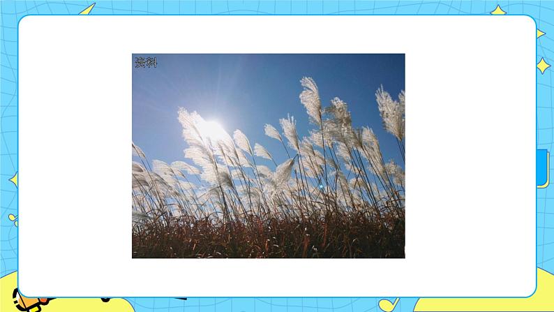 部编版（五四制）四下 20.芦花鞋 课件+教案+练习PPT02