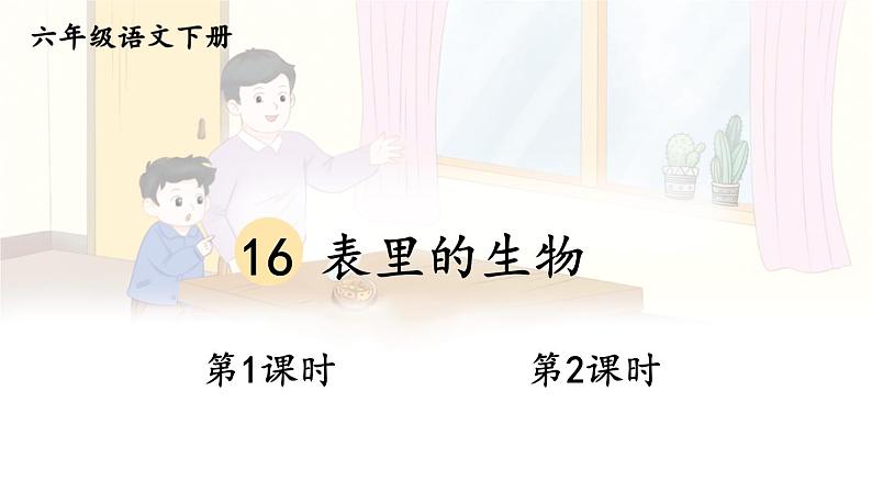 【人教部编版】六下语文 16 表里的生物（课件+教案）01