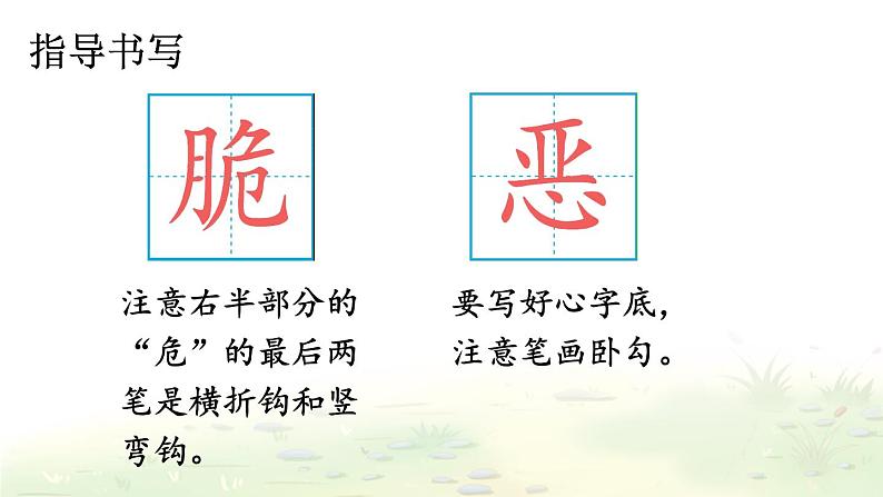 【人教部编版】六下语文 16 表里的生物（课件+教案）05