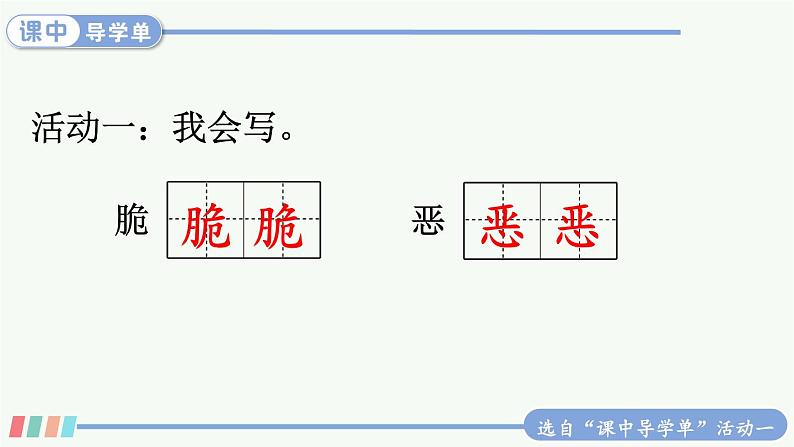 【人教部编版】六下语文 16 表里的生物（课件+教案）06
