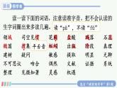 【人教部編版】六下語文 15 真理誕生于一百個問號之后（課件+教案）