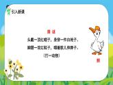 语文部编版四年级下册 第四单元 15 白鹅 PPT课件
