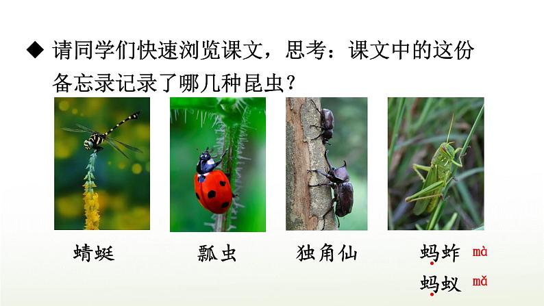 4 昆虫备忘录 精品配套课件教案 23春三年级语文下册03