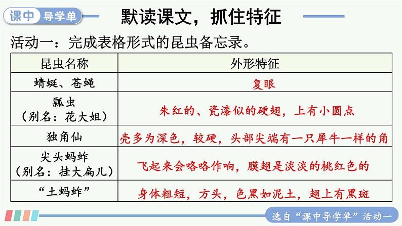 4 昆虫备忘录 精品配套课件教案 23春三年级语文下册07