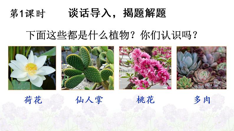 习作：我的植物朋友第2页