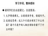 【人教部編版】五年級(jí)下冊(cè)語(yǔ)文 13 人物描寫(xiě)一組（課件+教案）