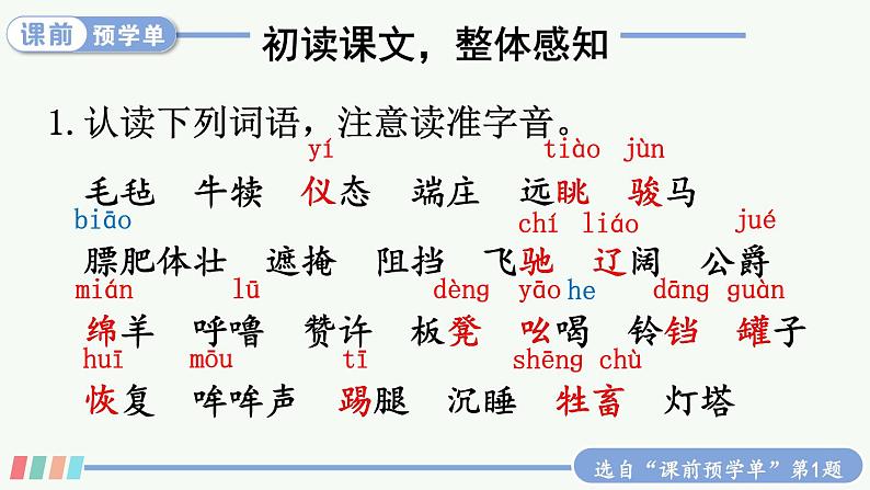 【人教部编版】五年级下册语文  19 牧场之国（课件+教案）03