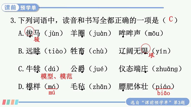 【人教部编版】五年级下册语文  19 牧场之国（课件+教案）05