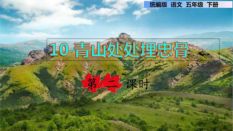 10.青山处处埋忠骨 第二课时第1页