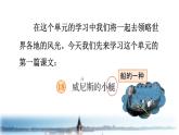 第18课 威尼斯的小艇（课件）部编版语文五年级下册