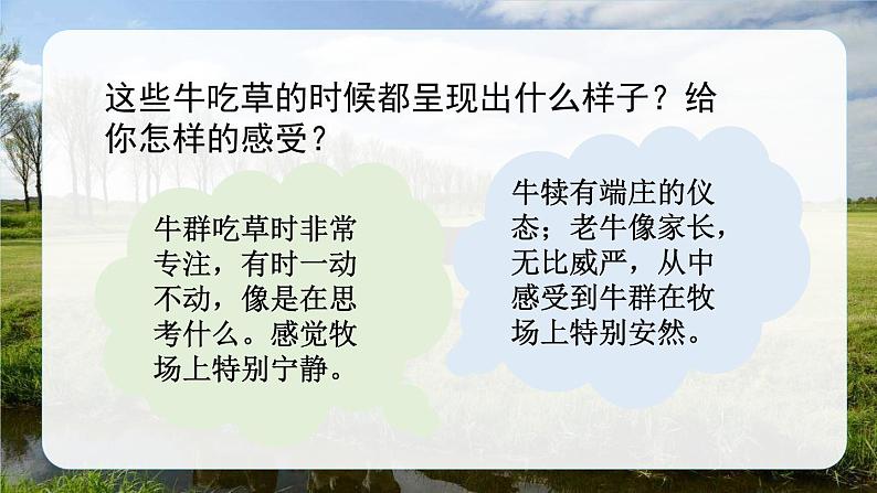 19.牧场之国 第二课时第5页