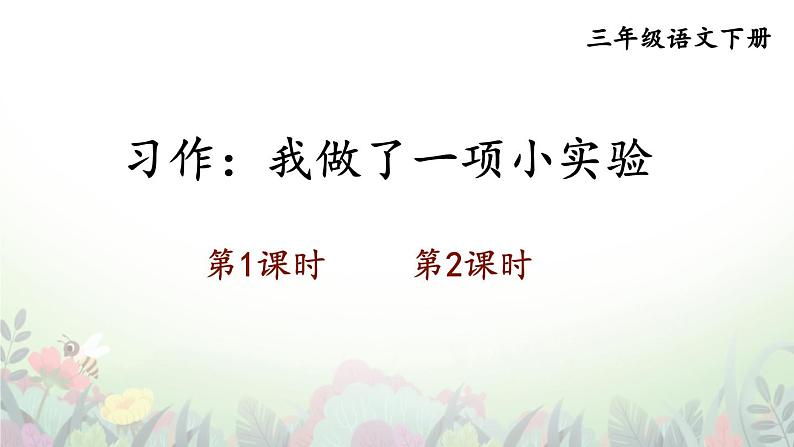 习作：我做了一项小实验 精品配套课件教案+学习单 23春三年级语文下册01