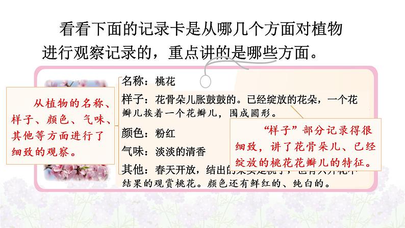 【人教部编版】三下语文  习作：我的植物朋友（课件+教案）04