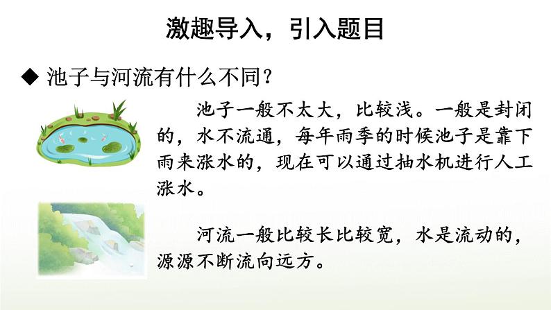 【人教部编版】三下语文  8 池子与河流（课件+教案）02