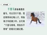 部编版二年级下册语文（教学课件）7.一匹出色的马