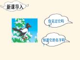 部编版二年级下册语文（教学课件）9. 枫树上的喜鹊