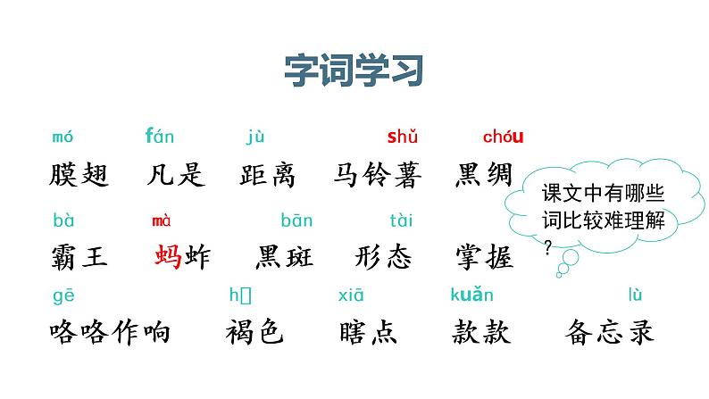 部编版三年级下册语文（教学课件）4.昆虫备忘录08