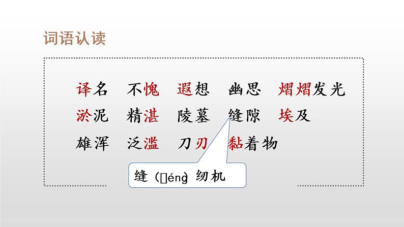 部编版五年级下册语文（教学课件）20 金字塔08