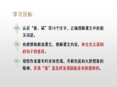 部编版五年级下册语文（教学课件）23 童年的发现