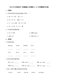 2023年小升初语文一轮基础复习专题练习：01字音附解析学生版