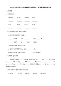 2023年小升初语文一轮基础复习专题练习：04词形附解析学生版